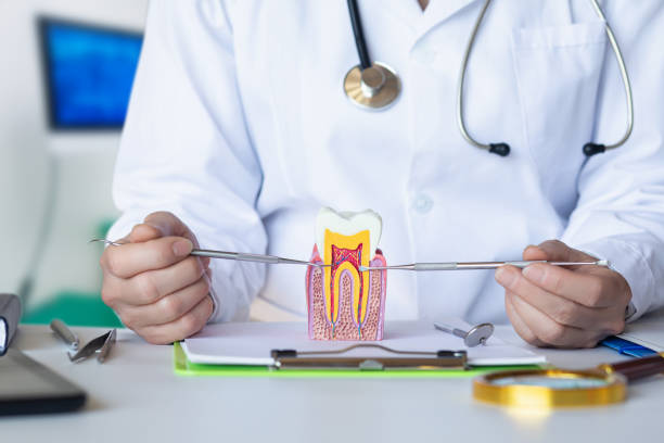 Best Emergency Care for Gum Disease in Cuyahoga Falls, OH